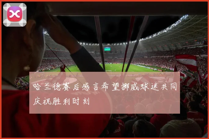 哈兰德赛后感言希望挪威球迷共同庆祝胜利时刻