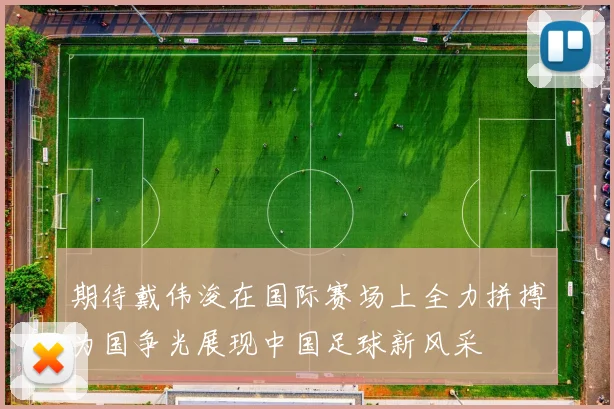 期待戴伟浚在国际赛场上全力拼搏为国争光展现中国足球新风采